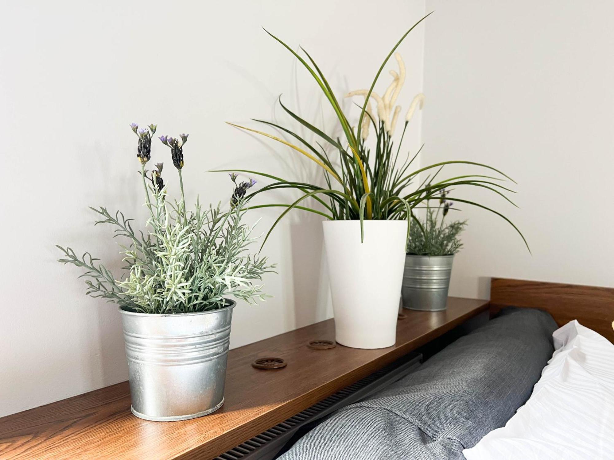 3D Szlak 77 Apartament Красков Екстериор снимка